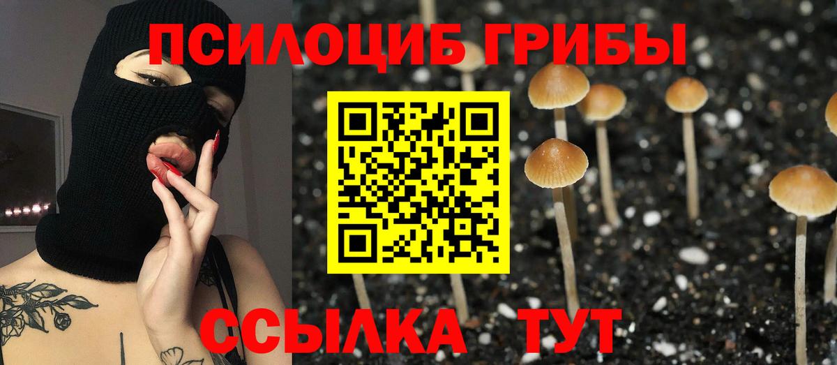 Галлюциногенные грибы Psilocybe  Вход с VPN  Псилоцибиновые грибы MAGIC MUSHROOMS  Вязники 